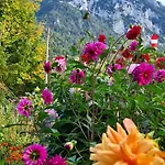 Diechtler Inkl. Chiemgaukarte Ruhpolding